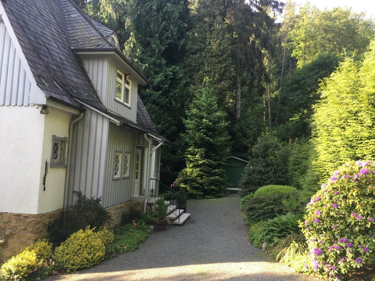 Villa Elfenstein Bad Harzburg Exterior foto